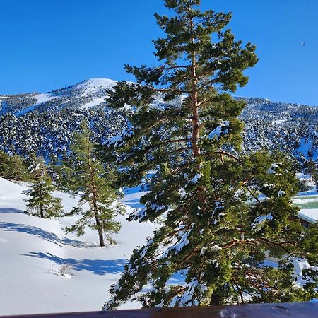 Greolieres Les Neiges Apartment Luaran gambar