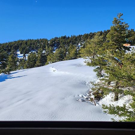 Greolieres Les Neiges Apartment Luaran gambar