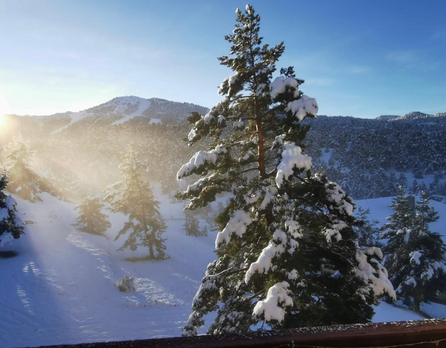 Greolieres Les Neiges Apartment Luaran gambar