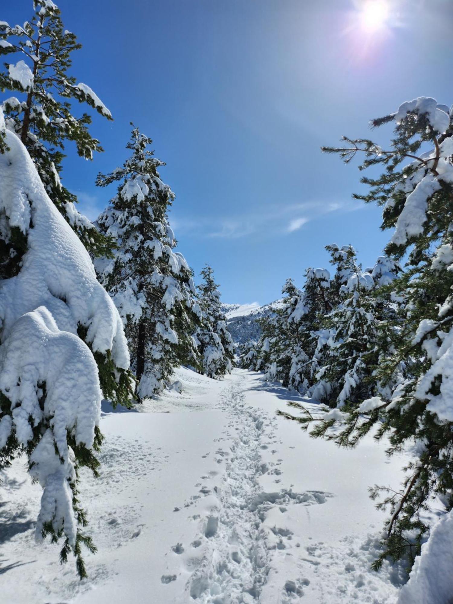 Greolieres Les Neiges Apartment Luaran gambar